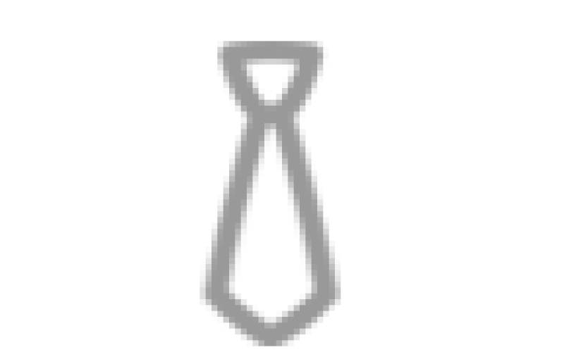 专业